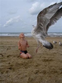 Nr 2 fotowedstrijd: klik hier Nr 2 fotowedstrijd: klik hier