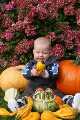 Click to see nicks-eerste-herfst-deel-2-pumpkin-boy.html