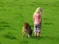 Click to see vriendschap-tussen-hond-en-kind.html