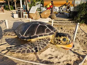 Eerbetoon aan de schildpad in Santa Maria 