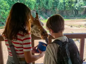 Giraffe voeren in Sunway Lost World of Tambun in Ipoh Maleisië