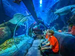 Een dagje naar de dierentuin is superleuk en educatief. Kids leren er veel, kijk hun ogen uit en tegenwoordig kun je er ook vaak goed spelen. Lees hier meer.