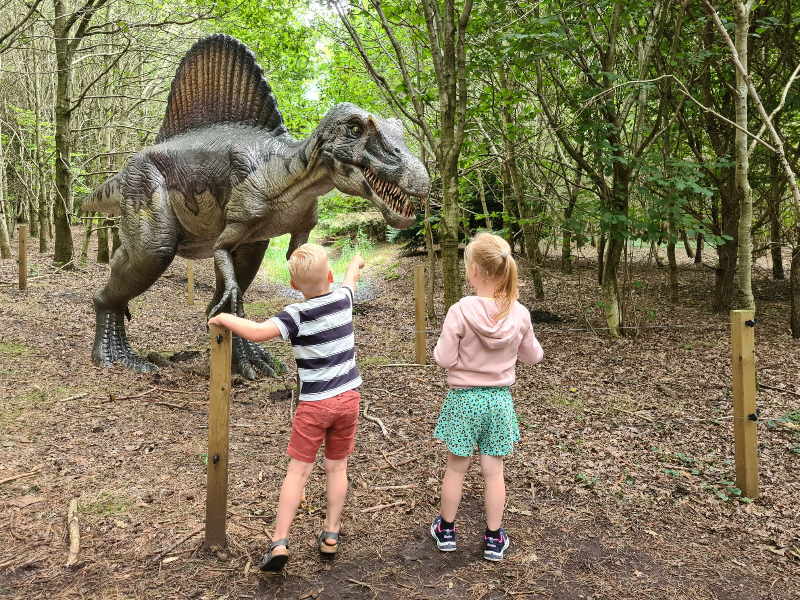 Wauw de dino's zijn net echt