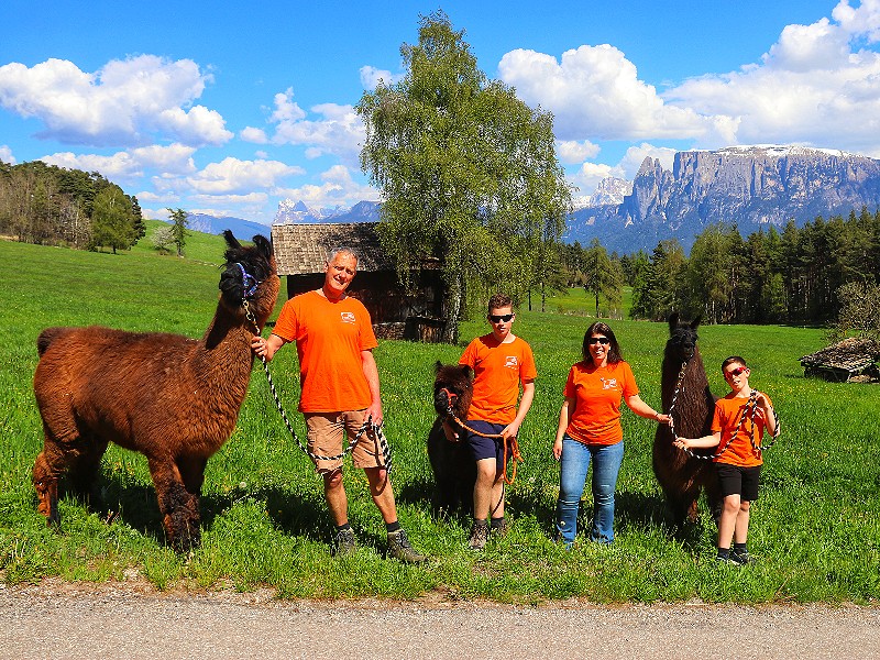 Op pad met lama's en alpaca's bij Roter Hahn!