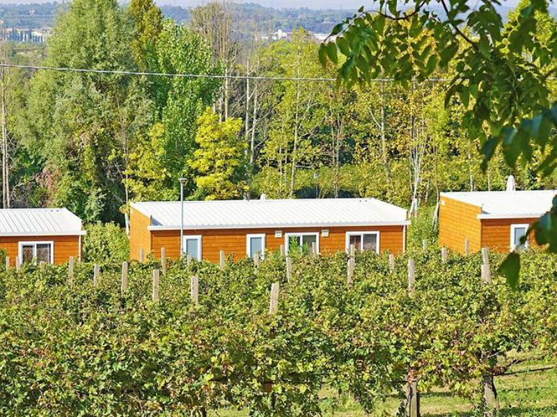 Bij agriturismo Corte Tonolli verblijf je tussen de wijnranken