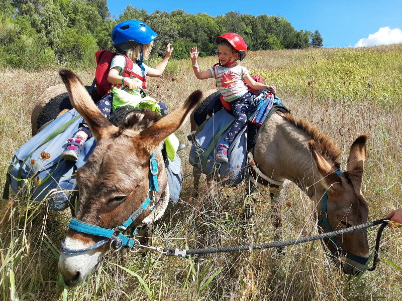 De kids geven een high five tijdens het wandelen met de ezels in de prachtige natuur van Toscane