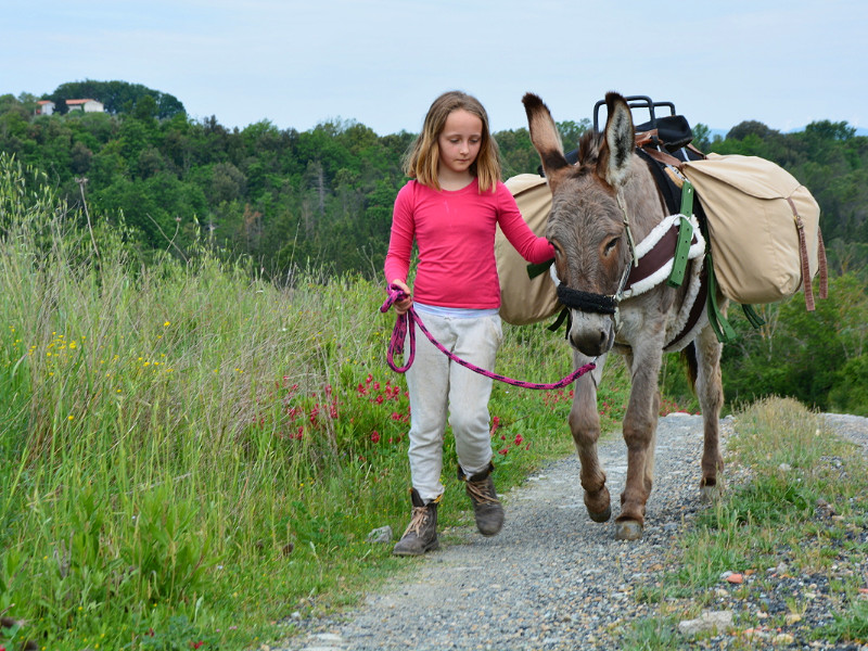 Kinderen vinden wandelen met ezels geweldig!