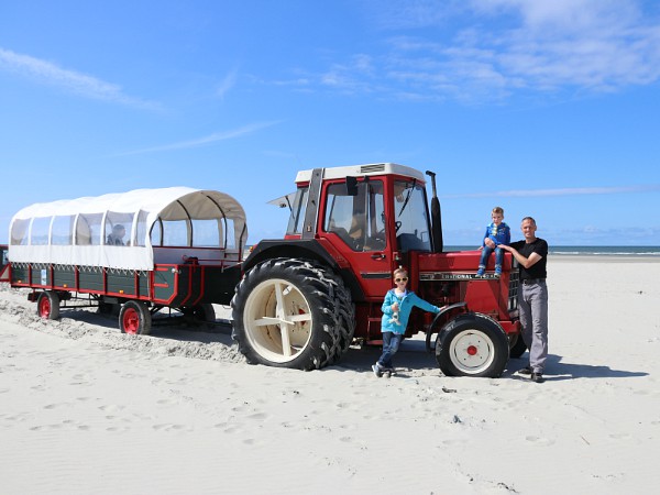 tractorrit met huifkar op het strand van ameland
