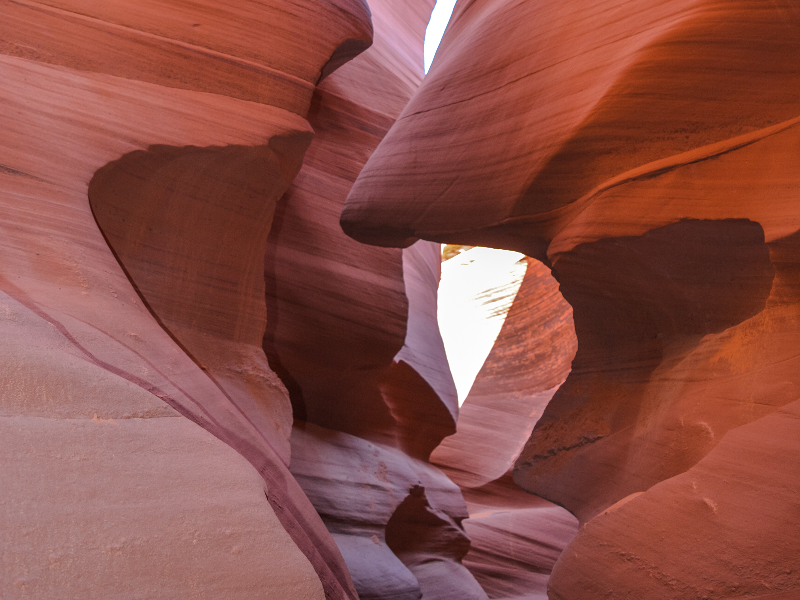 De prachtig uitgesleten rotsen in de kloof Antelope, Grand Canyon, West Amerika