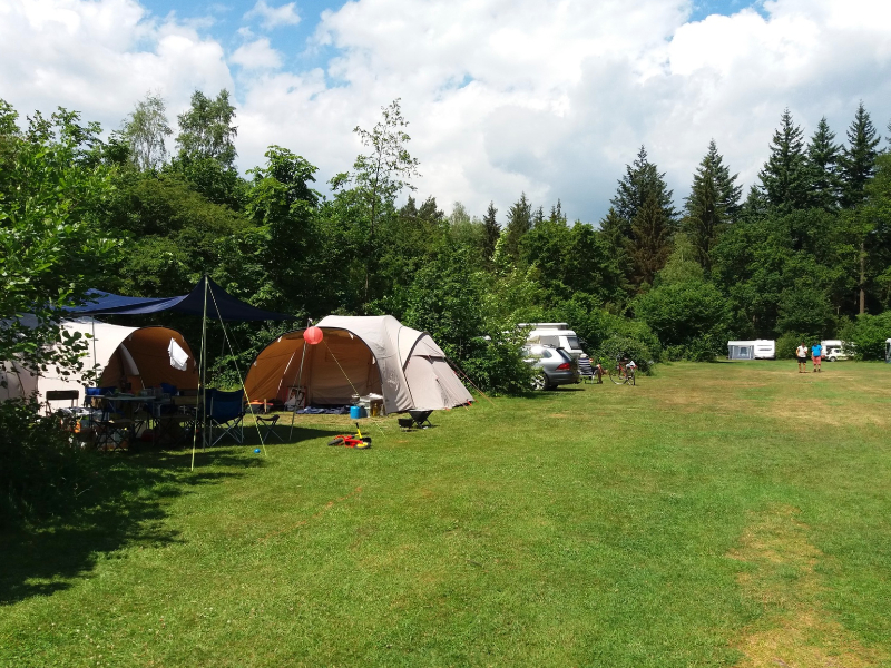 Ruime kampeerplekken op kindvriendelijke natuurcamping Jena in de achterhoek van Gelderland