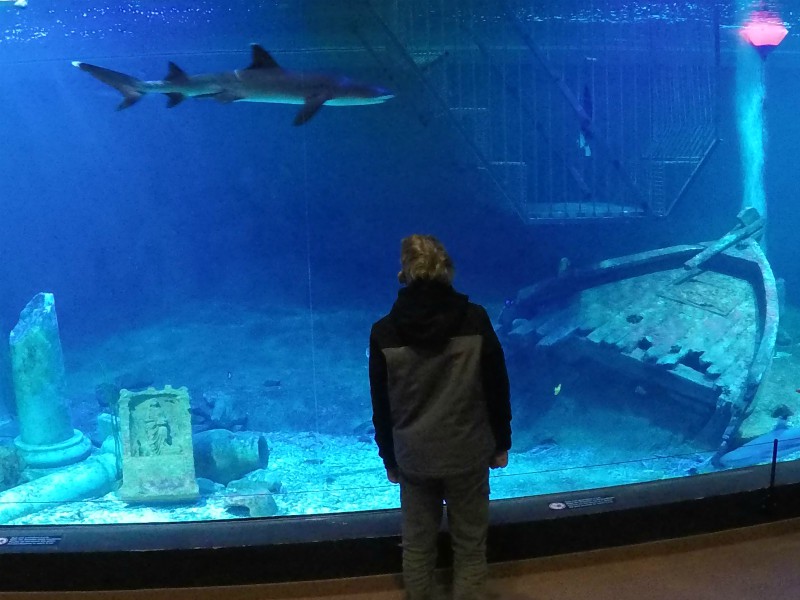 Zeb bekijkt de haaien bij het Blue Reef Aquarium
