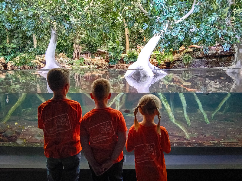 Leuk uitje met kinderen in de Vendée. Aquarium de Vendée heeft 3 thema gebieden vol aquaria om de onderwaterwereld van de zee te ontdekken. Lees onze review