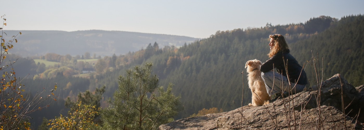 Rocher de Falize, uitkijkpunt over de natuur nabij Malmedy, Ardennen
