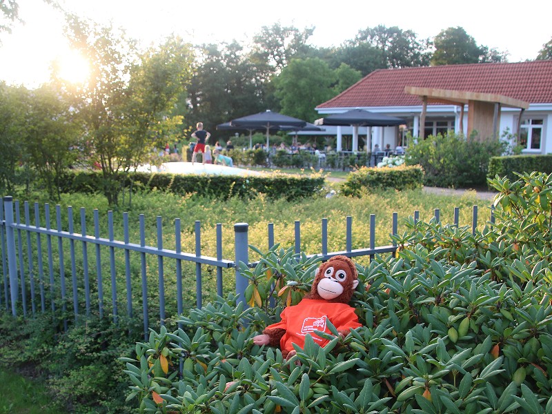 bad-bentheim-terras-apie-800.jpg