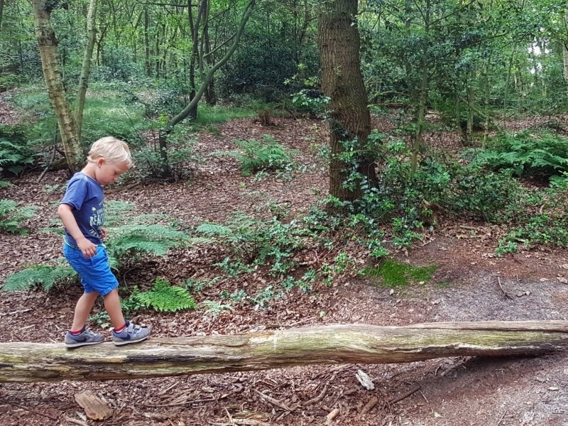 Er zijn in Overijssel meerdere wandelingen die geschikt zijn met kinderen. In Balkburg ligt de Bas de Das Wandelroute. Henriette gaat met haar gezin op pad.