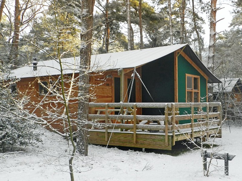 Bultje in de sneeuw