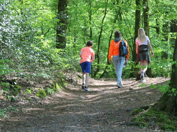 Wandelen in de bossen van het Bergischeland