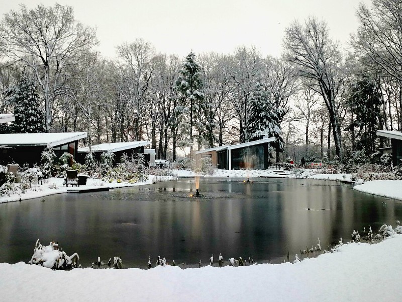 Park Berkenrhode in de sneeuw