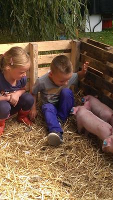 Biggetjes knuffelen op de boerderij