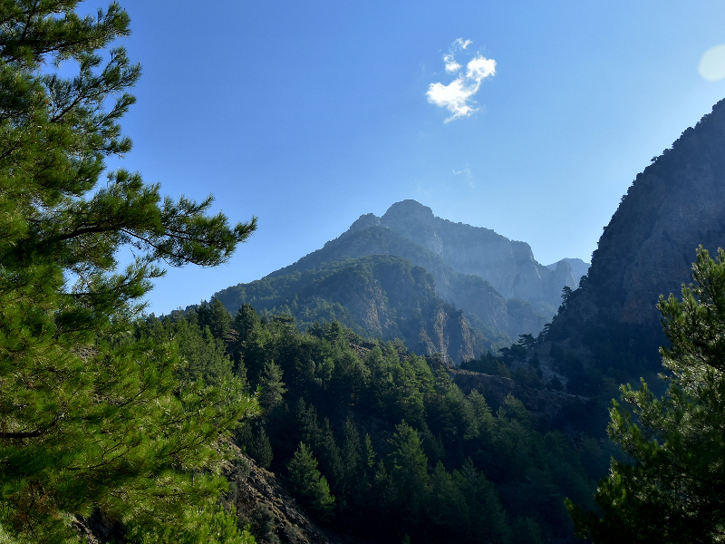 Lefkas is een van de groenste eilanden van Griekenland en heel bosrijk