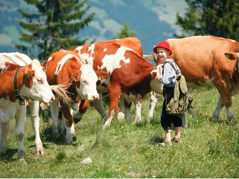 Biobauernhof Fleckl Brixental boerderijvakantie Tirol