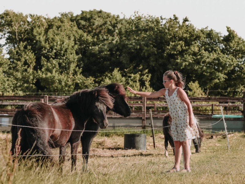 meisje aait pony's