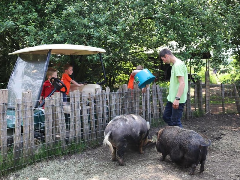 Meehelpen om de dieren te voeren, leuk!!