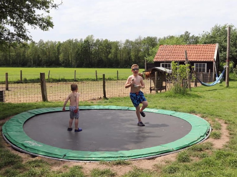 Lekker uitleven op de trampoline naast de dierenweide