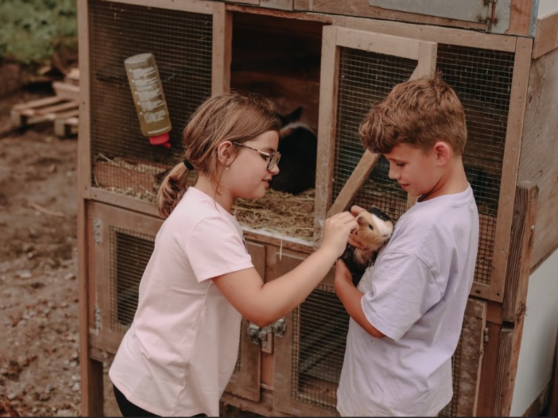 kinderen aaien cavia