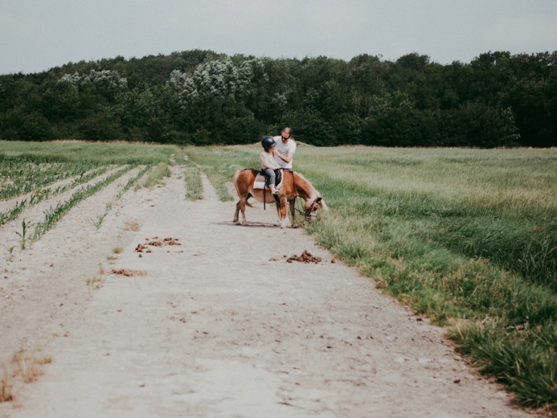 kind op pony