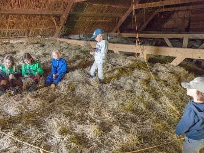 Spelen in de hooiberg