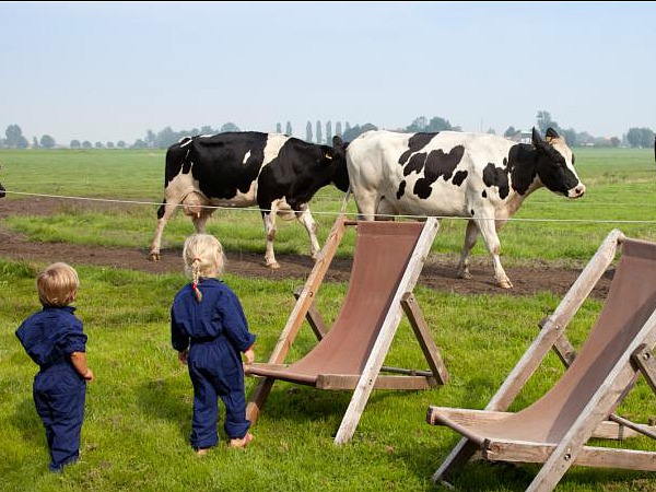 Peuters kijken naar de langslopende koeien