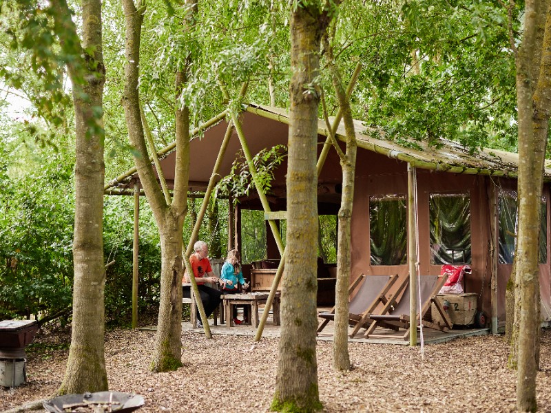 tenthuisje tussen de bomen