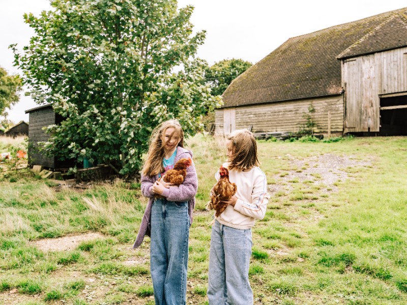 meiden met kippen