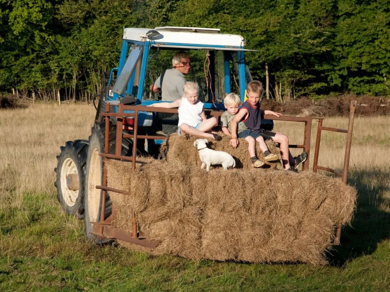kinderen mee op de tractor
