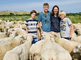 Gezin tussen de schapen