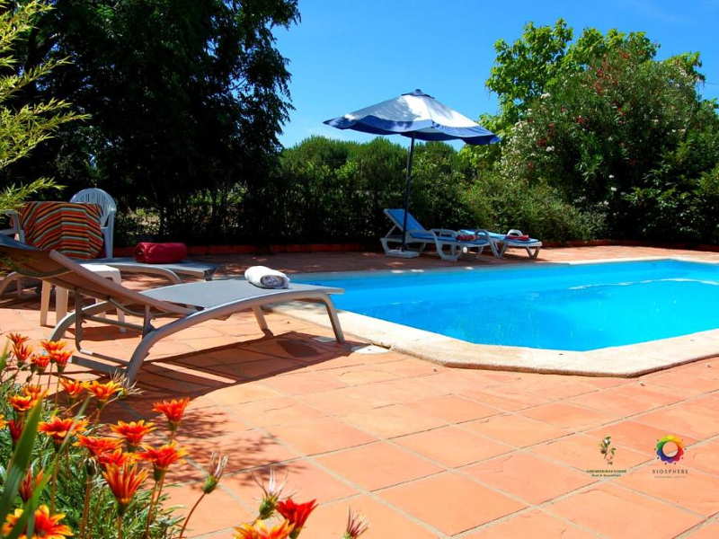 Het zwembad van de kleinschalige en kindvriendelijk quinta Amendoeiras House in Abrantes in Noord Portugal