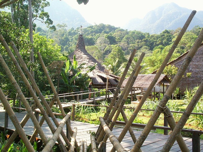 Bijzonder plekje in de jungle van Sarawak