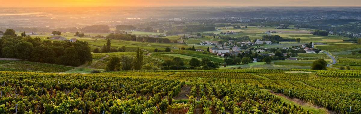 Uitzicht over de heuvels van de Bourgogne.
