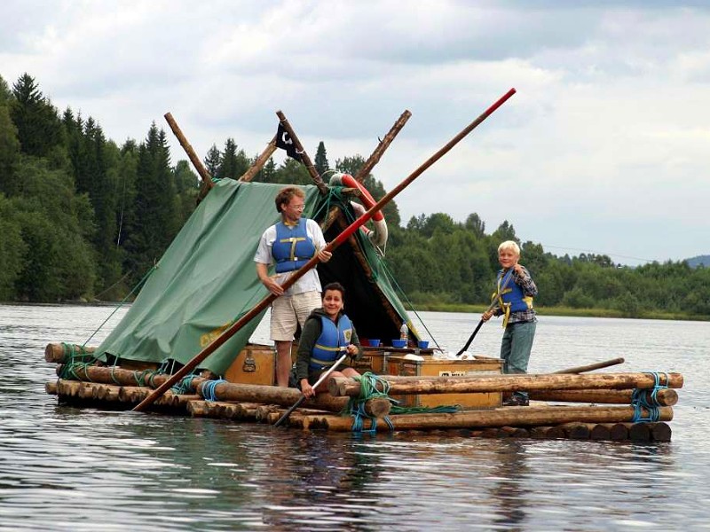 Houtvlotvaren in Zweden