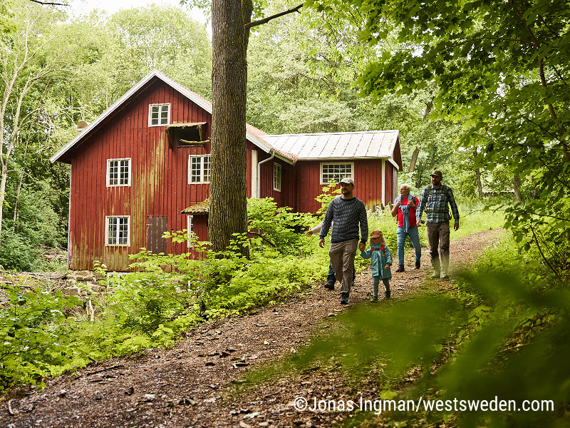 Een typisch rood Zweeds huis in de natuur