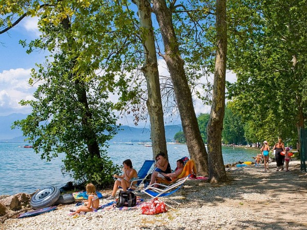 Onder de boom bij camping Cisano/ San Vito