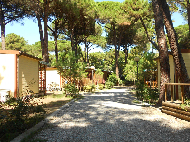 De schaduwrijke stacaravans op camping Villaggio del Sole