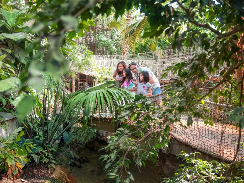 De Jungledome in Center Parcs het Heijderbos is een belevenis op zichzelf!