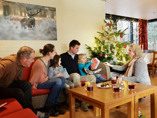 Kerst bij Center Parcs met kerstboom in het huisje