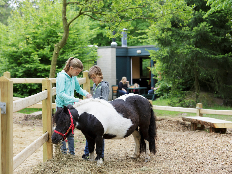 Pony cottage grenzen aan de ponyverzorgplaats.