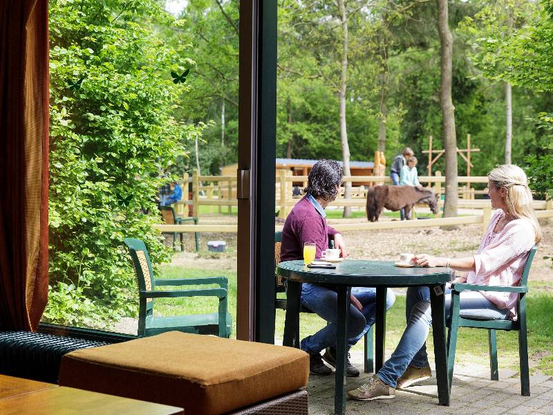 Uitzicht op de pony en de kids vanaf het terras van de cottage.