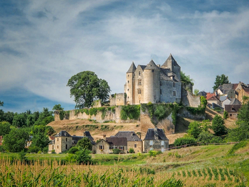 Het Chateau van Salignac wordt nog gerestaureerd en is daarom heerlijk rustig