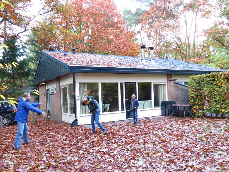 Herfst bij Landal Coldenhove