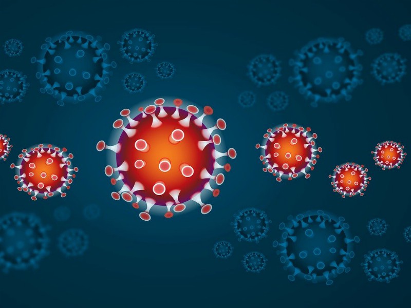 Het Coronavirus zoals het afgebeeld wordt